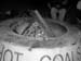 DSCN0201